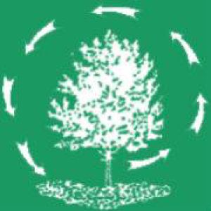 Romer Brothers Tree & Shrub Service